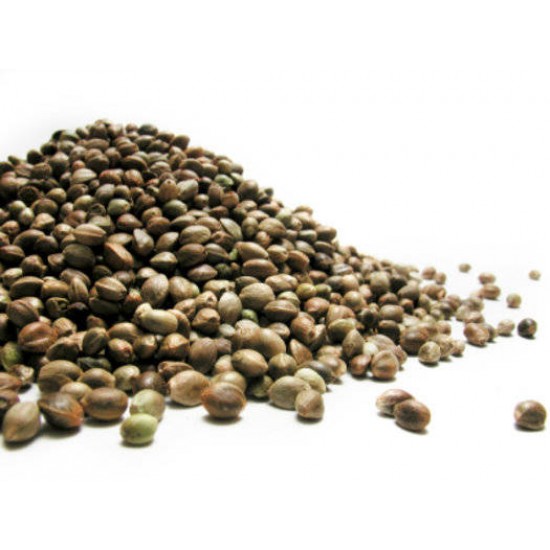 Seminte de Canepa Nedecorticate crude Bax 25 kg - 19 lei / kg